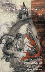 300_Shimmer-22-Cover